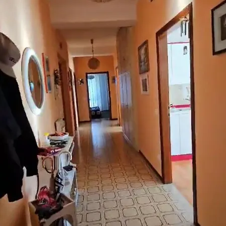 Piucco